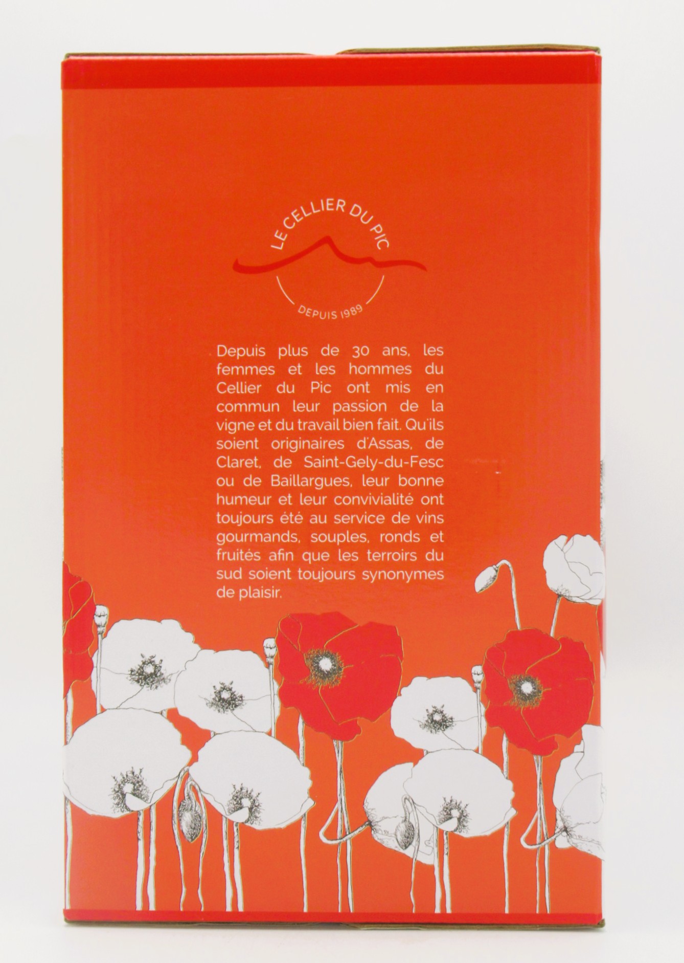 IGP Pays d’Oc Cabernet Sauvignon Cellier du Pic 5 litres