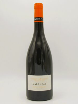 Valencay rouge Domaine Denis Bardon 2024