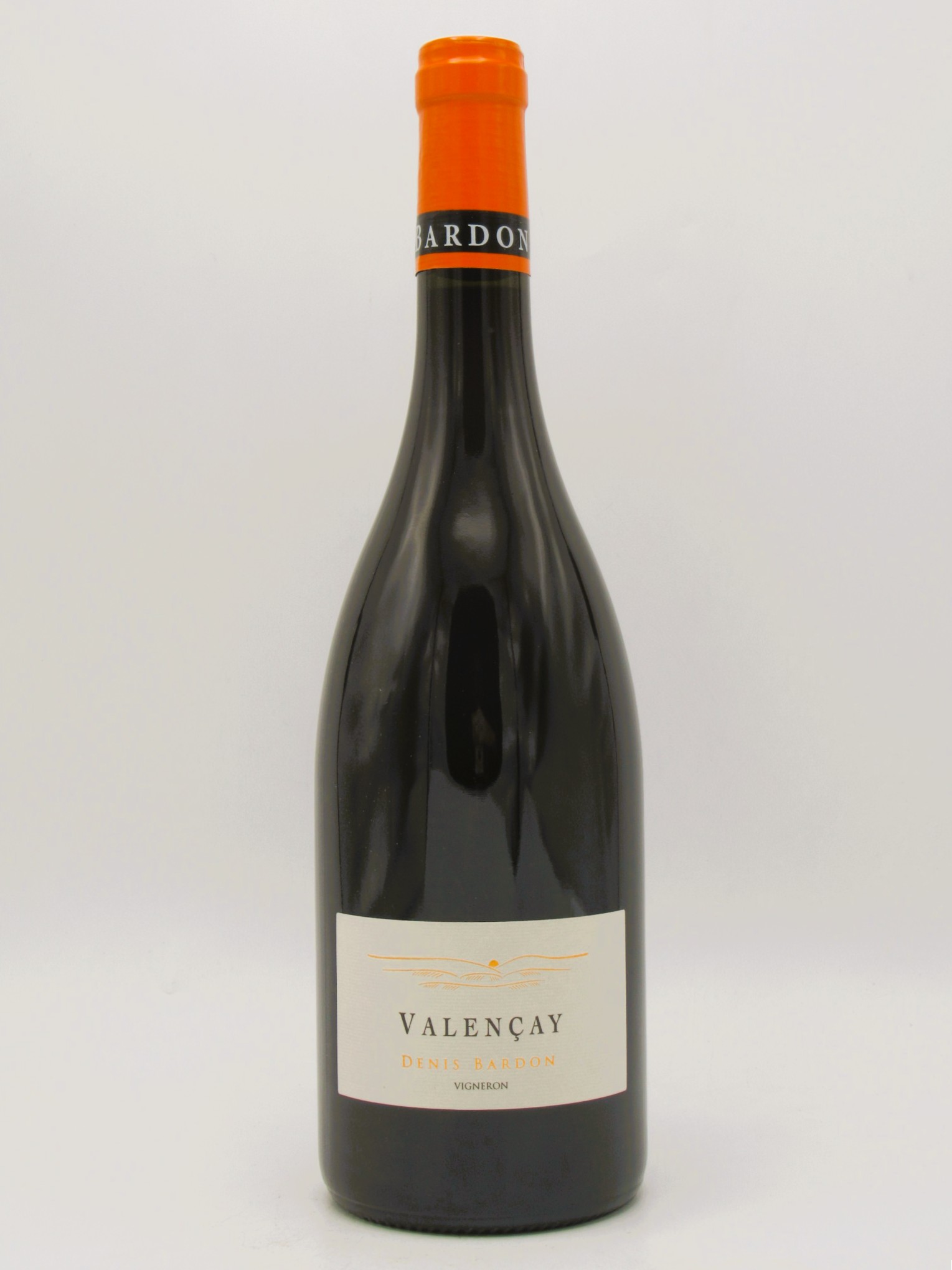 Valencay rouge Domaine Denis Bardon 2024