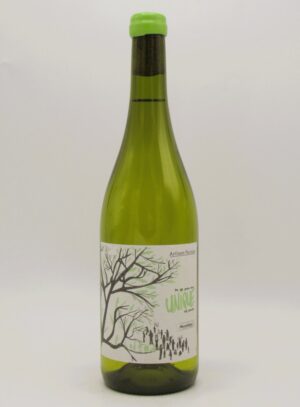 Vin de France bio Maccabeu Tu Es Pour Moi Unique au Monde 2024