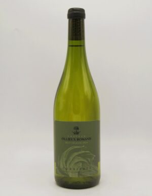 Corbières Blanc Nuit Céleste Chateau Ollieux Romanis 2024