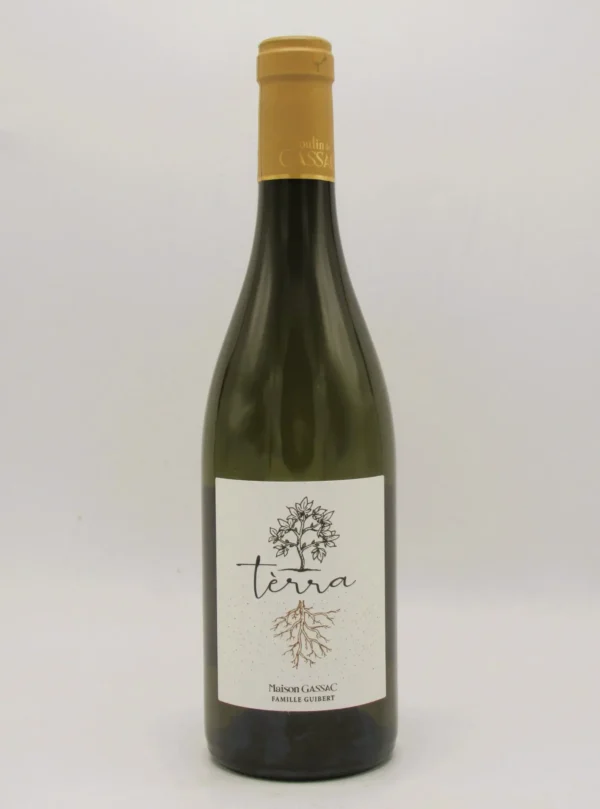AOP Languedoc Blanc Bio Terra Moulin de Gassac 2024