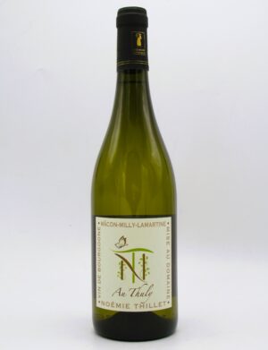 Macon-Milly-Lamartine Au Thuly Domaine Noemie Thillet – Eloy 2022