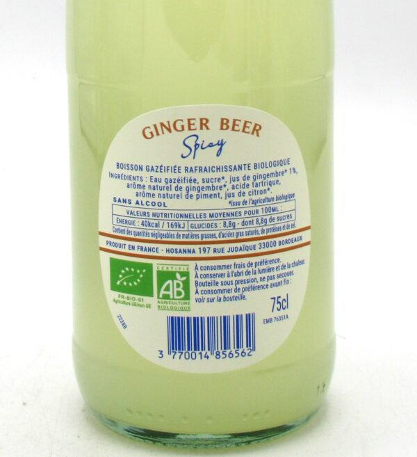 ginger-beer-hysope-spicy-bio-75cl-scaled.jpg