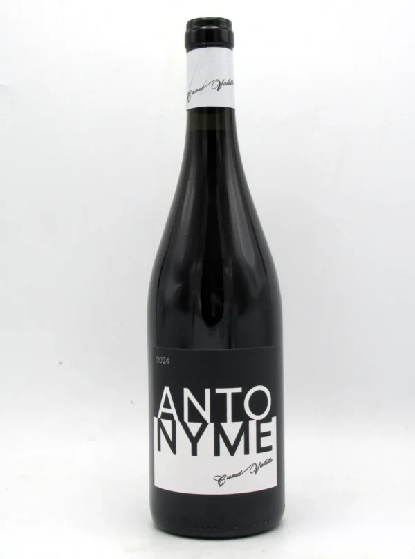 Saint Chinian Bio Antonyme Domaine Canet Valette 2024