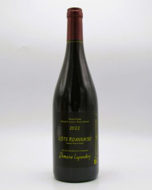 Cote Roannaise Vieilles Vignes Domaine Lapandery 2022