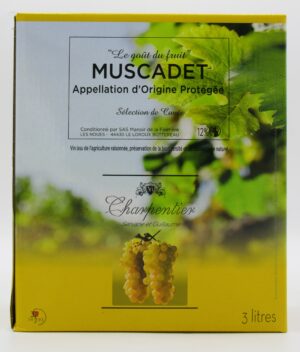 Bib Muscadet Art du Vin 2020 3 litres